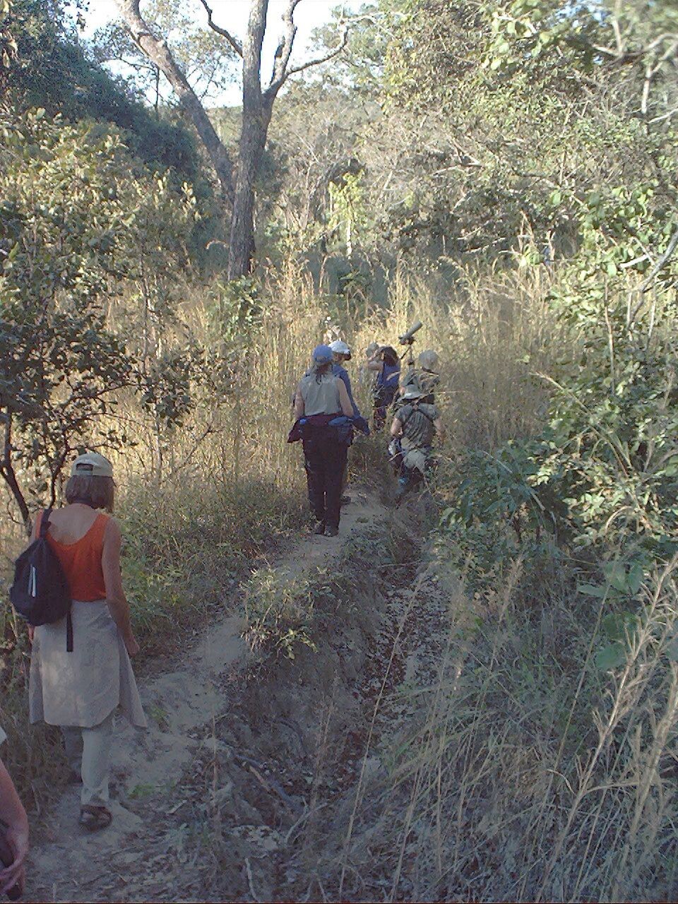 Dzalanyama Day Trip